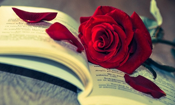 Người chết ngang và đóa hoa buồn văn chương nở dọc