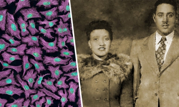 Henrietta Lacks: Người phụ nữ da màu tạo đột phá trong cuộc chiến chống ung thư cổ tử cung