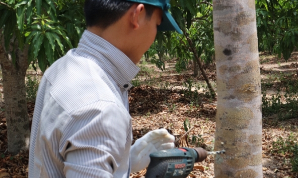 Khánh Hòa cần bảo tồn nguồn tài nguyên mang tên xứ sở