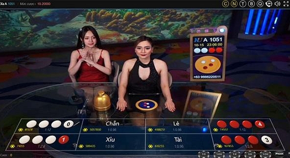 Sự thật về sới bạc ảo lớn nhất từ trước đến nay, công khai sử dụng tên miền Việt Nam