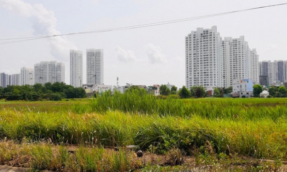 TP.HCM kiến nghị không tăng giá đất
