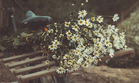 Hà Nội chớm đông: Mùa của những hồi ức