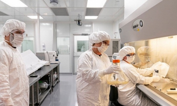 Hàng chục nhóm nghiên cứu chạy đua với thời gian để phân tích Omicron 