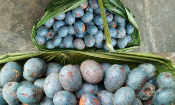 Ngậy bùi 5 món ngon từ trái cọ