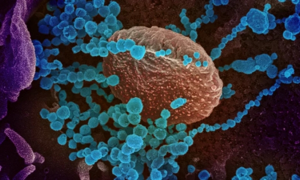 Hé mở cách thức lây lan chóng mặt của biến thể Omicron