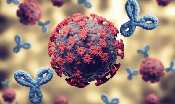  Người đã nhiễm Covid-19 trong 6 tháng được 'bảo vệ khá tốt' trước Omicron