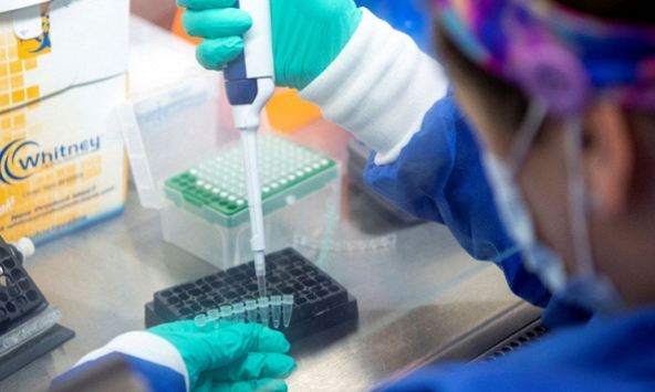 Người nhiễm Omicron có nguy cơ nhập viện thấp hơn 70% đến 80% so với biến chủng Delta