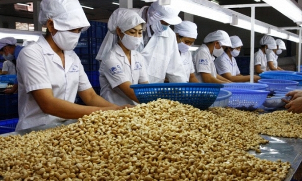 Bất ngờ với số gạo, hạt điều Việt Nam nhập từ nước ngoài năm 2021