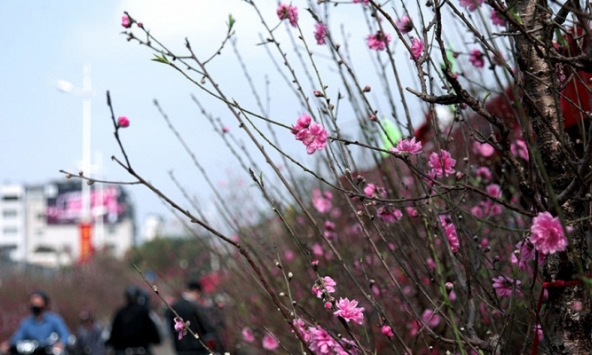 Những khoản tiền người lao động được nhận dịp Tết Nguyên đán Nhâm dần 2022 