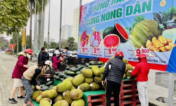 Siêu thị mang thanh long, mít ra bán ở vỉa hè
