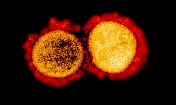 Bệnh nhân thu nhỏ kích cỡ ‘của quý’ sau khi bị nhiễm Covid-19