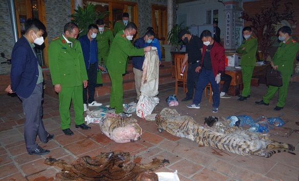 Tạm giữ chủ tịch xã giết hổ nấu cao, thu giữ 1 xác hổ và nhiều nội tạng động vật quý hiếm đông lạnh