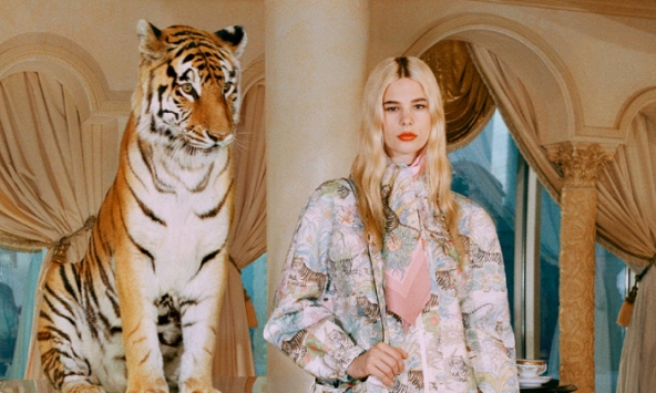 Gucci bị chỉ trích vì dùng hổ thật quay quảng cáo 