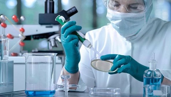 Vẻ đẹp của khoa học