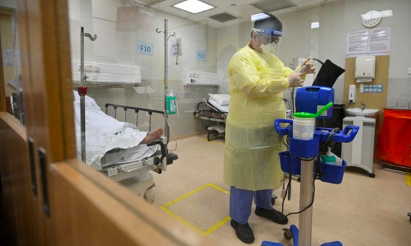 Nghiên cứu mới phát hiện 13 đột biến ngược quy luật của Omicron