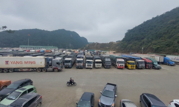 Hải quan Lạng Sơn nỗ lực giải phóng nông sản dịp trước Tết Nguyên Đán