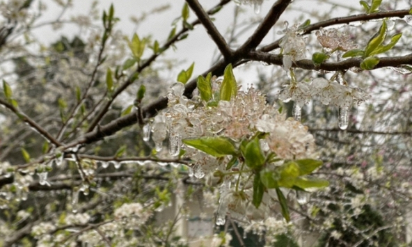 Băng giá xuất hiện tại nhiều vùng núi cao phía Bắc