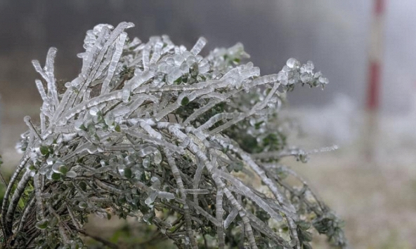 Băng tuyết phủ trắng, người dân miền Bắc đua nhau “khoe thành phẩm”