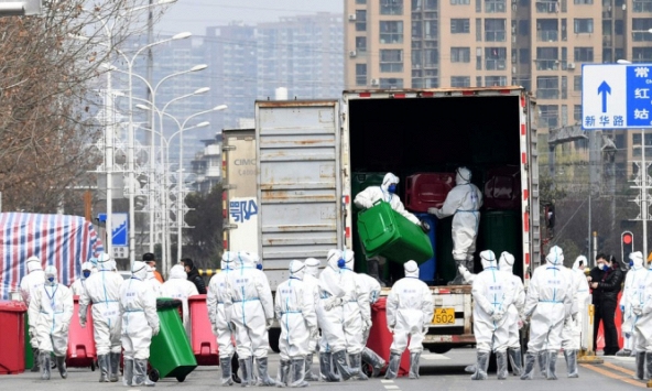 Nghiên cứu mới về bằng chứng nCoV có nguồn gốc từ động vật hoang dã