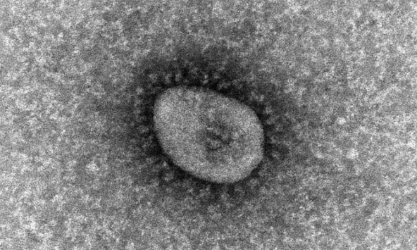 Biến chủng 'tàng hình' Omicron lây nhiễm nhanh trên thế giới