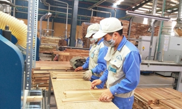 Doanh nghiệp gỗ Việt bắt đầu chịu áp lực từ xung đột Nga - Ukraine