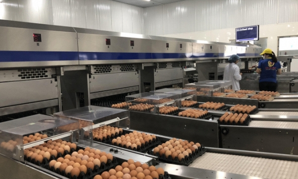 Ba Huân bán 25% cổ phần, thay nhân sự cấp cao