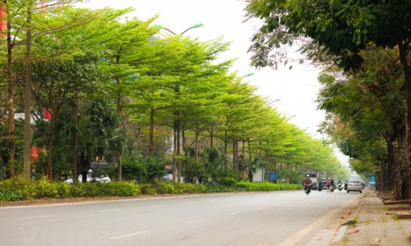 Ngắm vẻ đẹp của những con đường Thủ đô trong thời điểm giao mùa