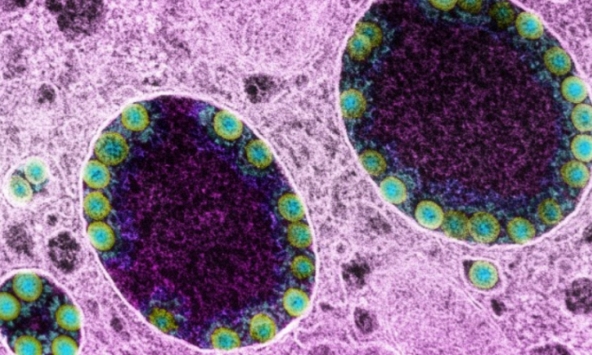 Xuất hiện hàng loạt biến chủng nCoV mới