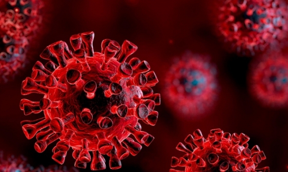 Phát hiện biến chủng nCoV mới, 'lai' thêm 7 đột biến
