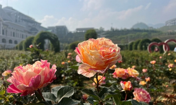 Du lịch 30/4-1/5, nhiều điểm đến tung sản phẩm mới độc đáo