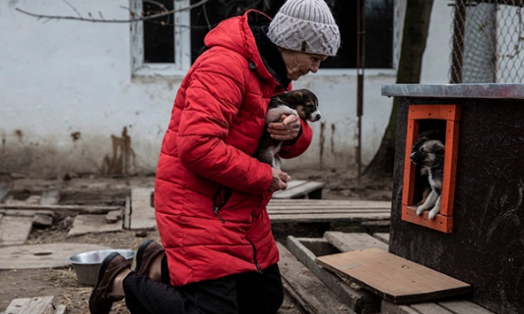 Người phụ nữ lập trạm cứu hộ, cứu hàng trăm động vật giữa chiến sự Ukraine