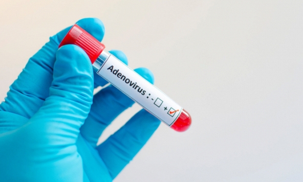 Những giả thuyết về nguyên nhân gây ra làn sóng viêm gan bí ẩn