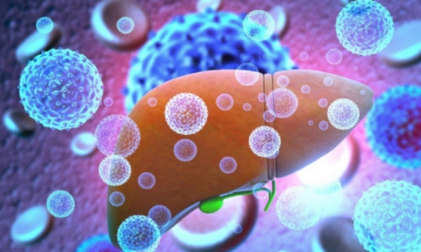 Viêm gan bí ẩn xuất hiện ở Việt Nam là điều khó tránh khỏi