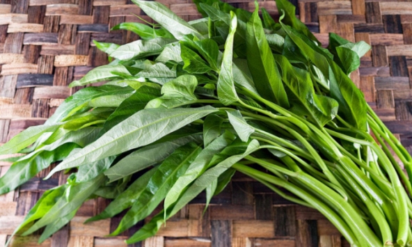 Khuyến cáo điều trị, phòng bệnh sán lá gan của Bộ Y tế: Nhiều loại rau tuyệt đối không ăn sống