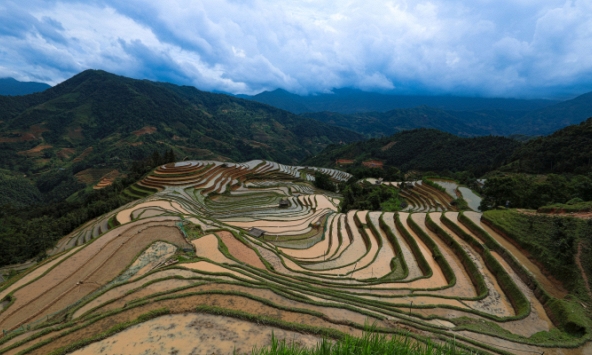 Lấp loáng mùa đổ nước Hoàng Su Phì