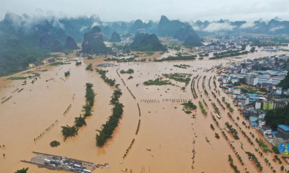 Thảm họa 'Thiên nga đen' sẽ hiện hữu nếu chủ quan, xem nhẹ bảo vệ đê điều