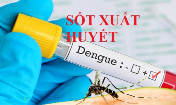 Tổ chức Y tế Thế giới khuyến cáo biện pháp phòng bệnh sốt xuất huyết