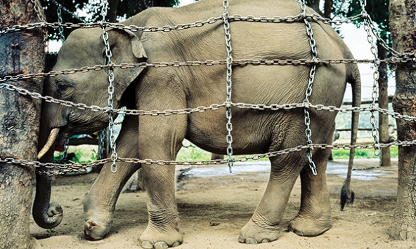 Nhiếp ảnh gia Trần Thái Khương: Tôi nghĩ, Jun nhớ mình!