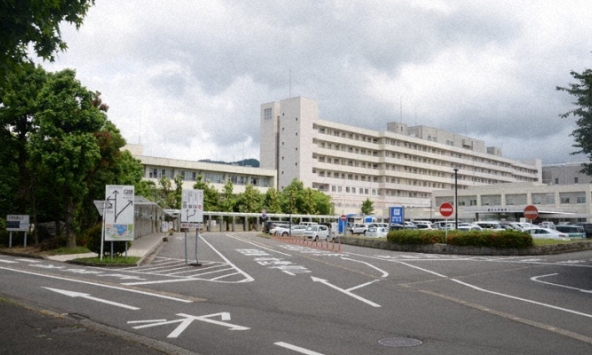 Nữ giáo sư nổi tiếng của Nhật Bản tự bình duyệt cho bài báo của chính mình