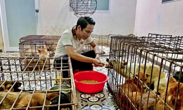 Người đàn ông chi 24 triệu đồng giải cứu 31 chú chó trong lò mổ