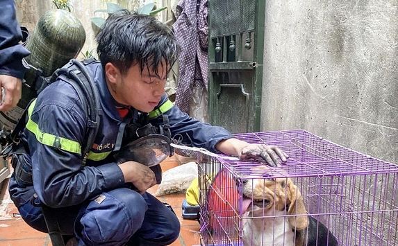 Bức ảnh chiến sĩ cứu hỏa Đỗ Đức Việt bên chú chó gây xúc động