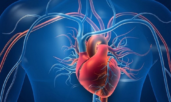 Ca ghép tim đầu tiên giữa hai người nhiễm HIV trên thế giới