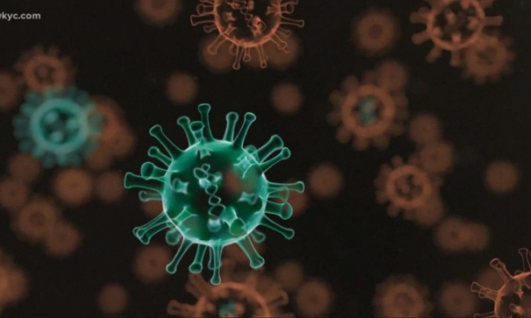 Biến thể phụ BA.5 nguy hiểm ra sao? 