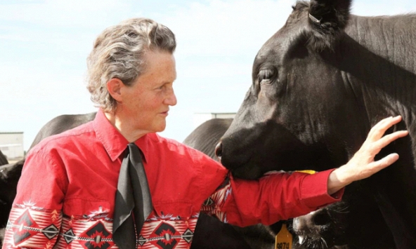 Temple Grandin: Tượng đài sống của những người tự kỷ