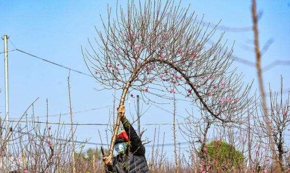 Chuyên gia đề xuất phương án nghỉ Tết Nguyên Đán 2023 sớm