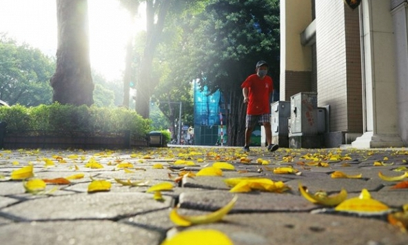 Bắc Bộ mưa to cục bộ vào chiều tối, đề phòng có lốc và gió giật mạnh