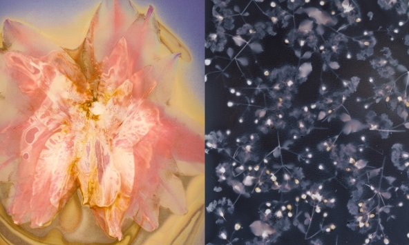 “Chloris' của nghệ sĩ Phạm Tuấn Ngọc: In nắng trên giấy ảnh đen trắng