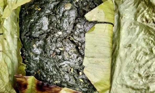 Rêu đá – Món ngon độc lạ của người vùng cao