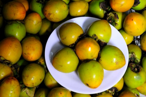 Mổ dạ dày sau khi ăn quả hồng ngâm