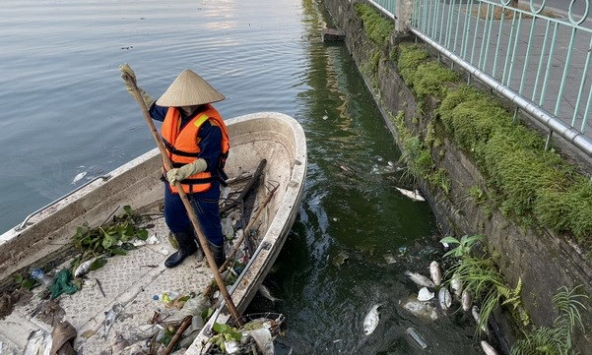 Sở Xây dựng Hà Nội nói gì về hiện tượng cá chết hàng loạt ở Hồ Tây?